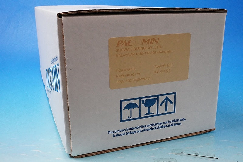 1:100 B737-800 Malaysia New Paint 9M-MXF PACMIN airplane model