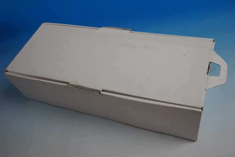 1:100 B737-600 SAS Scandinavia SE-DNM FRATELLI CESANA airplane model