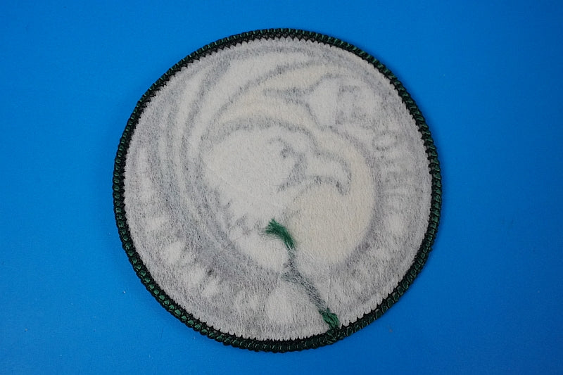 Patch JASDF 201SQ Eagle Driver Plus Low Visibility without hook and loof