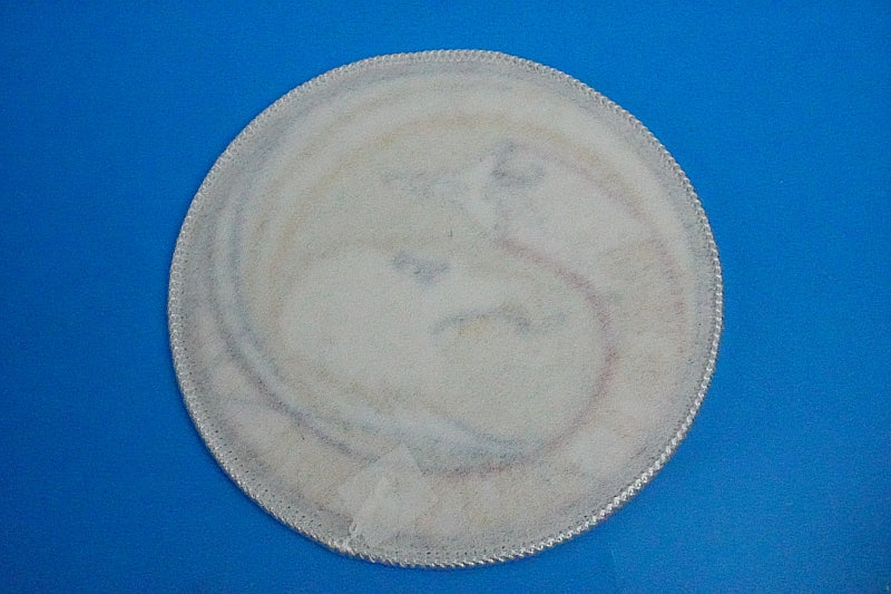 Patch JASDF Eagle Driver BEST GUY'91 without hook and loof