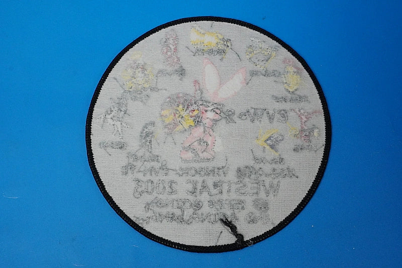 Patch USN U.S. Navy WESTPAC 2003 USS CARL VINSON CVW-9 CVN-70 No Velcro