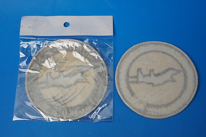 Patch JASDF F-15 304th Squadron 2 piece set without hook and loop