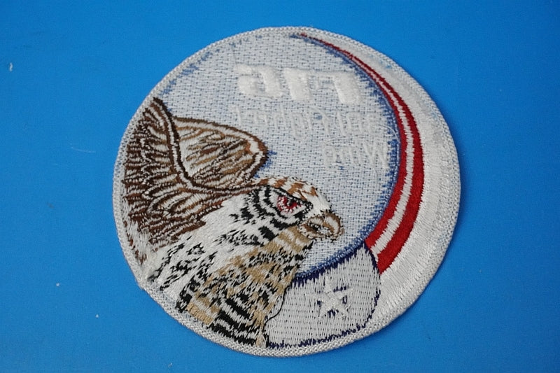 Patch USAF F-16 Fighting Falcon 301 Fighter Wing without hook and loop