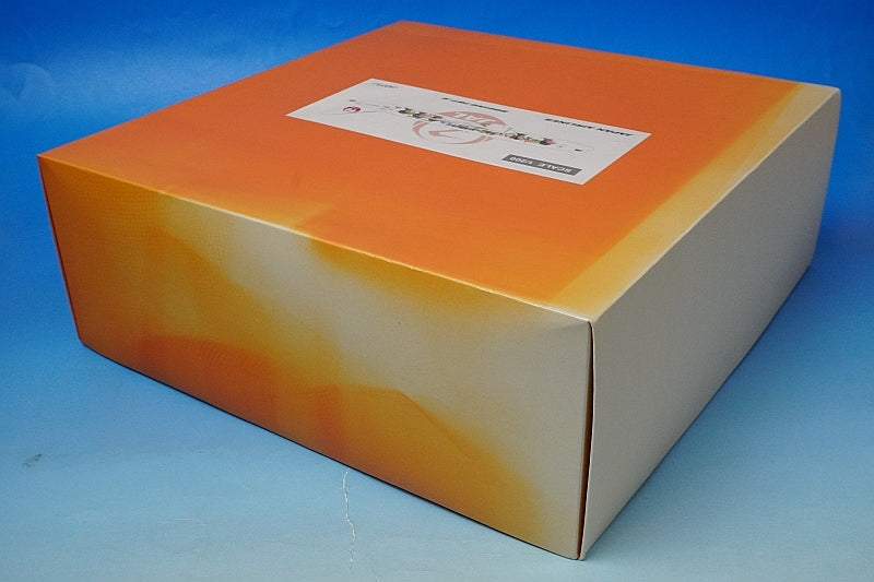 1:200 B787-9 JAL ARASHI HAWAII JET JA873J EW2789005 airplane model