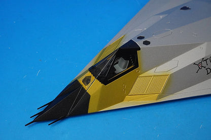 1:72 F-117A Nighthawks Prototype Toxic Death US Air Force Coating Stripped #79-10781 HA5810 Hobby Master airplane model