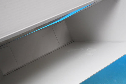 1:200 B787-9 ANA FUTURE PROMISE JA871A NH20220 ANA airplane model