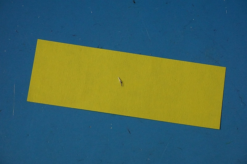 1:200 B777-300 ANA STAR WARS BB-8 JA789A EW277W007 JC Wings airplane model