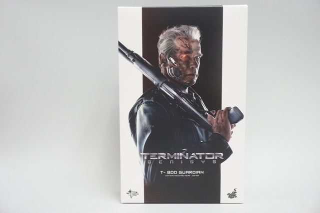1:6 Hot Toys Movie Masterpiece Terminator: Genisys T-800 / Guardian Figure