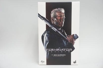 1:6 Hot Toys Movie Masterpiece Terminator: Genisys T-800 / Guardian Figure