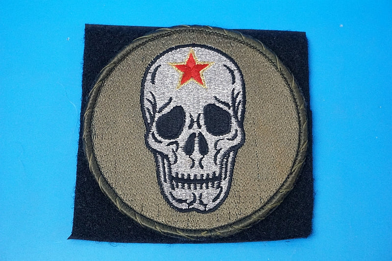 Patch JASDF F-15 Tactical Fighter Training Group Aggressor Komatsu A.B. SKULL Low Visibility background brown with hook and loop