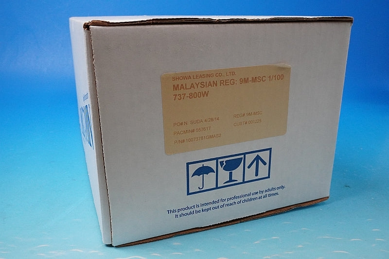 1:100 B737-800W Malaysia New Paint 9M-MSC PACMIN airplane model