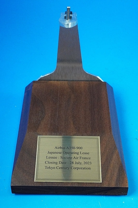 1:200 A350-900 Air France F-HUVA Pacmin airplane model