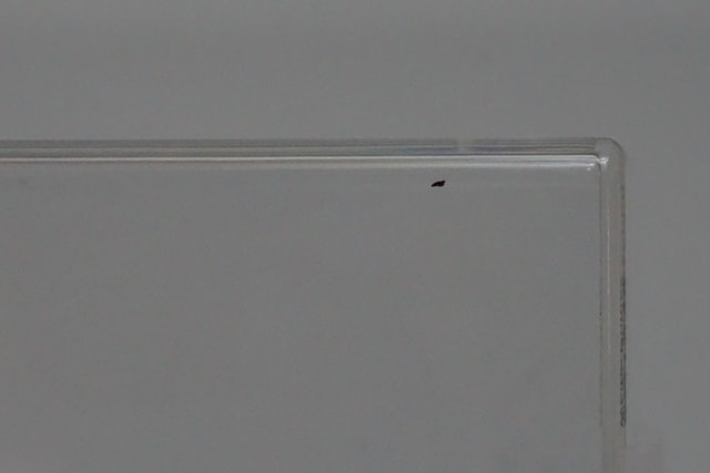 1:43 SPARK SGT038 Lamborghini Weibo Primez GT3 JLOC GT300 Super GT 2022 #88