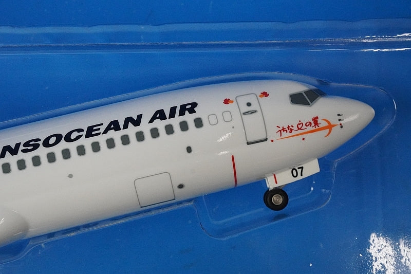 1:130 B737-800 JTA Japan Transocean Namie Amuro Amuro Jet JA07RK BJQ2020 EVER RISE airplane model