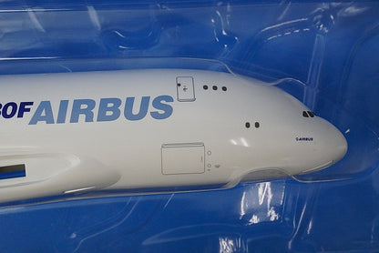1:200 A380-800 Airbus in House Colors *Registration Number Not Assigned 3121 Hogan airplane model