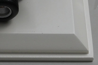 1:43 Rave R70042 Lotus 77 #5 winner of the 1976 Japanese GP M. Andretti model car