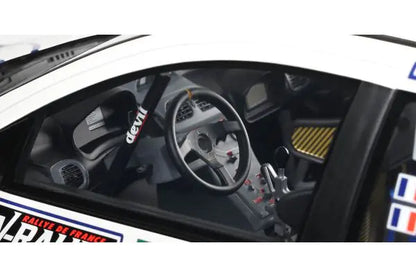 [ Back-order ] otto OTMG081 1:12 Peugeot 206 WRC Tour de France 1999 #15 model car